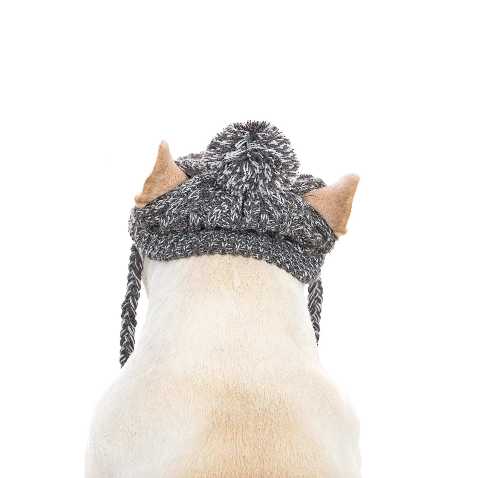 Windproof Knitting Dog Hat - 60 Off Store