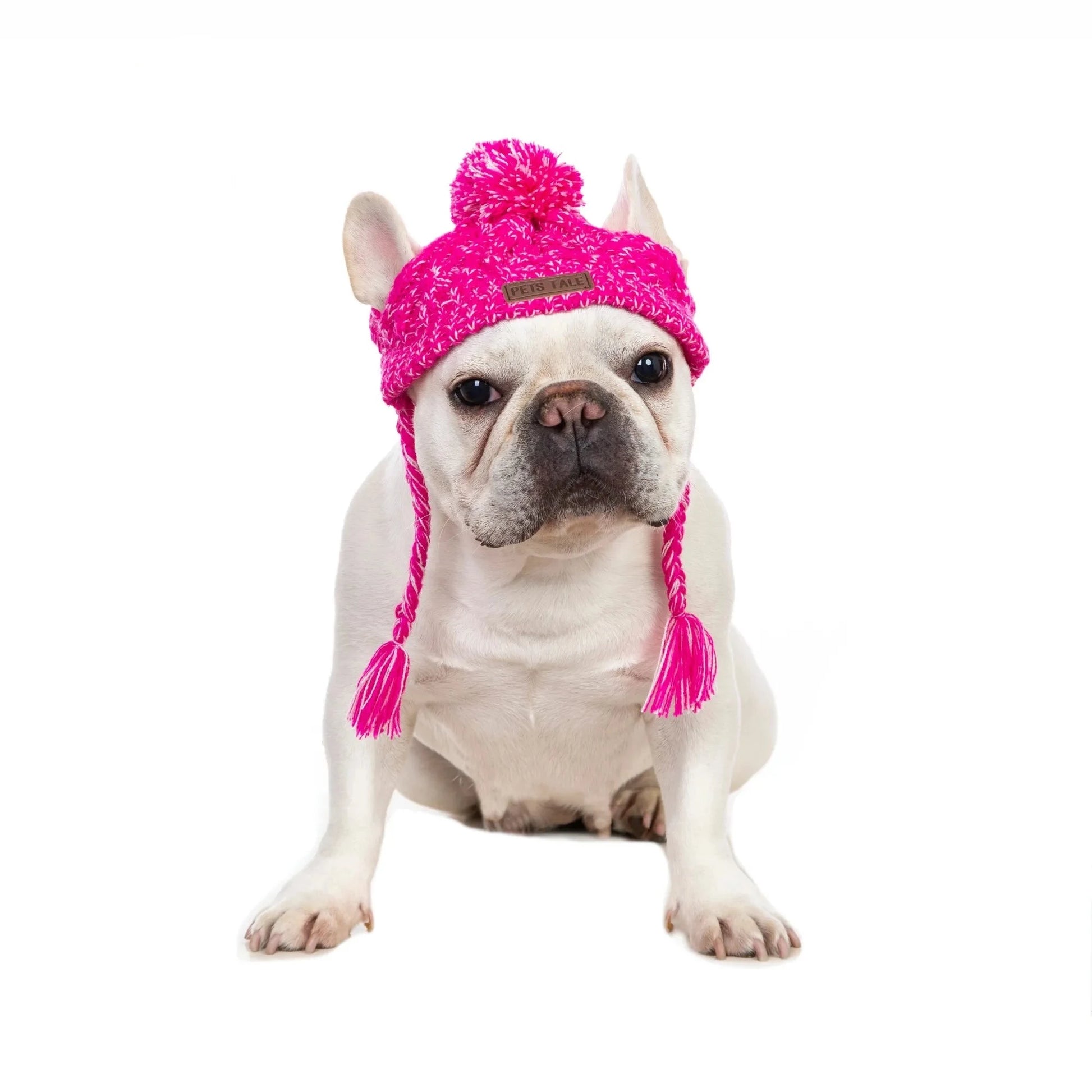 Windproof Knitting Dog Hat - 60 Off Store