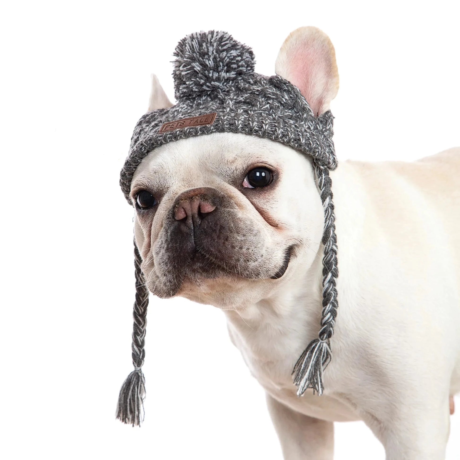 Windproof Knitting Dog Hat - 60 Off Store